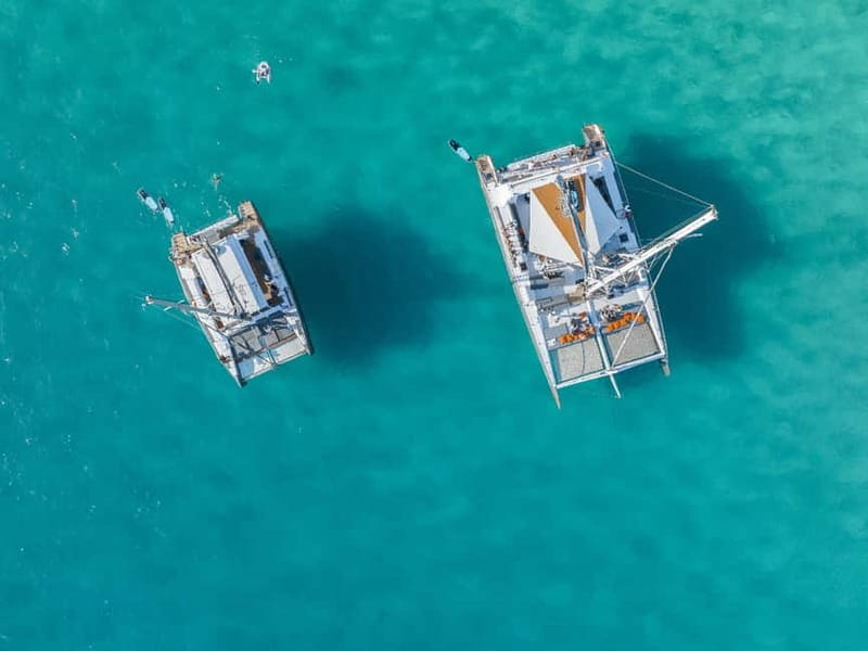 Palma de Mallorca: Half-Day Catamaran Tour with Buffet Meal - Key points to know before booking
