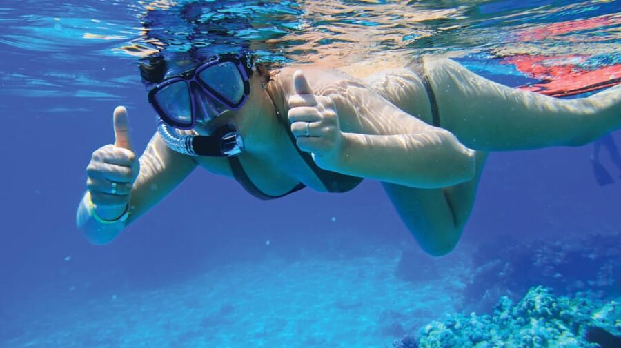 Palma de Mallorca: Private Yacht Trip with Drinks - Is $824 good value for up to 10 people?