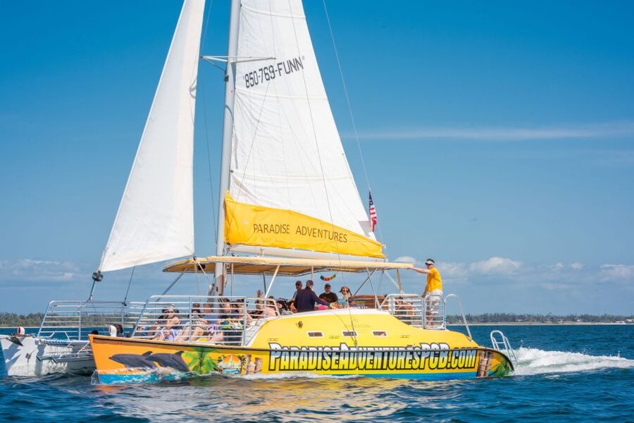 Panama City Beach: Dolphin Sightseeing Trip by Catamaran - A 40-foot catamaran built for a relaxed dolphin search