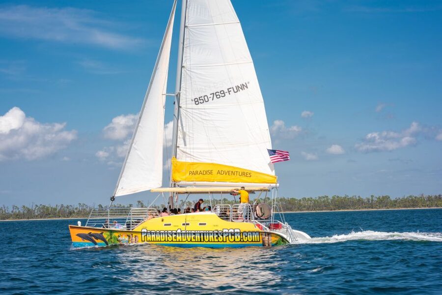 Panama City Beach: Dolphin Sightseeing Trip by Catamaran - Tropical music, drinks, and the onboard mood