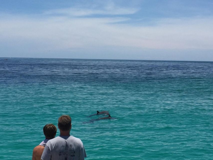 Panama City Beach: Dolphin Sightseeing Trip by Catamaran - Who will enjoy this cruise most?