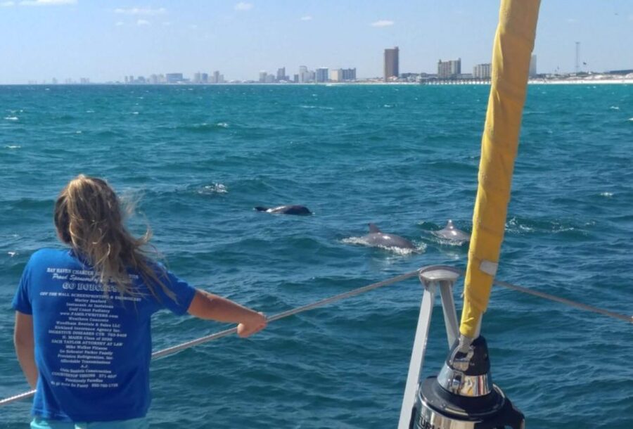 Panama City Beach: Dolphin Sightseeing Trip by Catamaran - Should you book the Footloose dolphin trip?