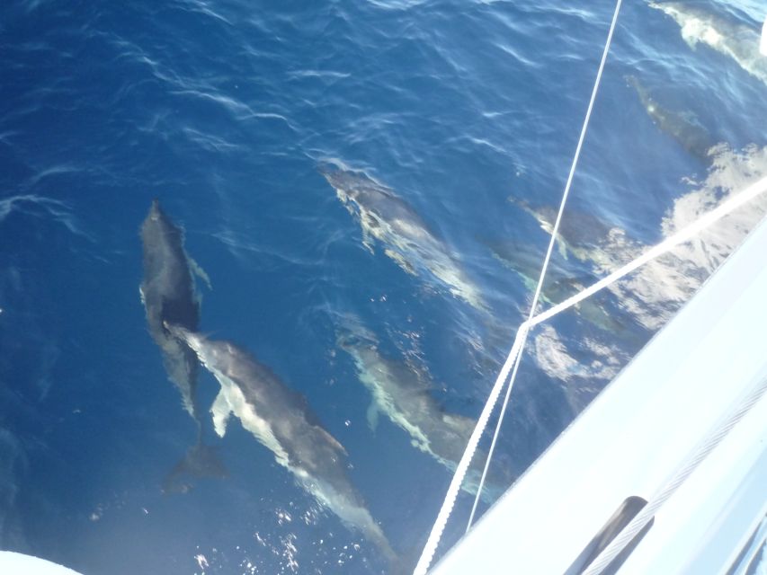 Paros: Iraklia, Schinoussa, & Naxos Sailing Tour with Lunch - Price, group size, and overall value