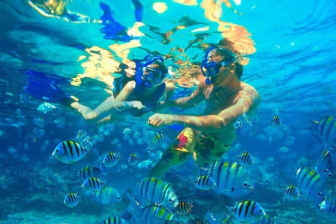 Party Boat Catamaran with Snorkeling from Punta Cana - The natural pool stop