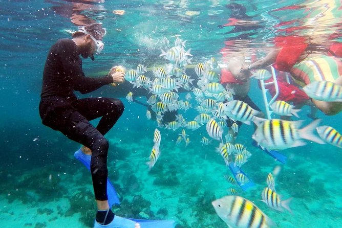 Party Catamaran: OpenBar, Music, Negril Beach, Caves, Snorkeling - Adult-only or family-friendly departure?