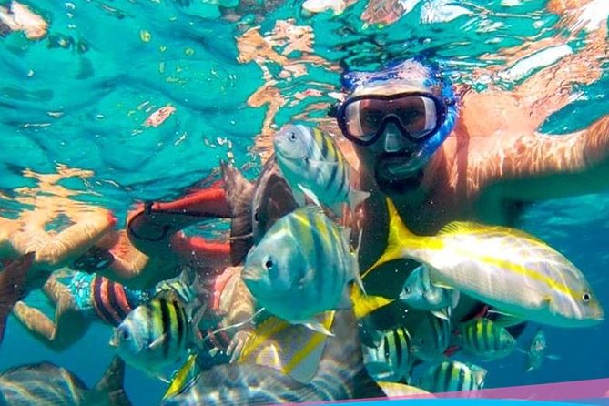 Party On Sailing Cruise to Isla Mujeres from Cancun - What the party atmosphere is really like