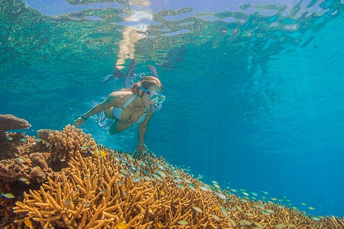Passions of Paradise Great Barrier Reef Cruise by Catamaran - Why the catamaran matters during a nine-hour day