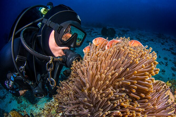 Passions of Paradise Great Barrier Reef Cruise by Catamaran - Who will get the most from this reef cruise