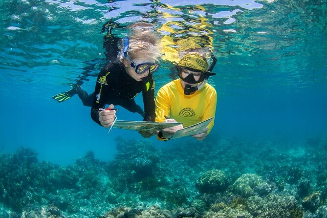 Passions of Paradise Great Barrier Reef Cruise by Catamaran - What the first reef stop feels like