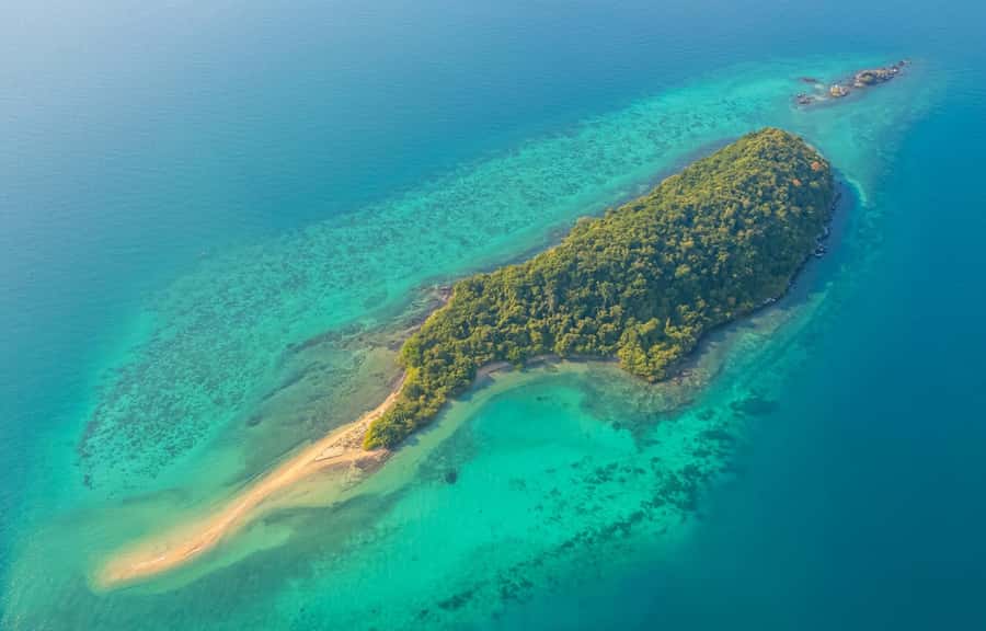Pattaya: 3 Islands Day Tour on Catamaran with Buffet Lunch - Monkey Island: a memorable final stop with real risks