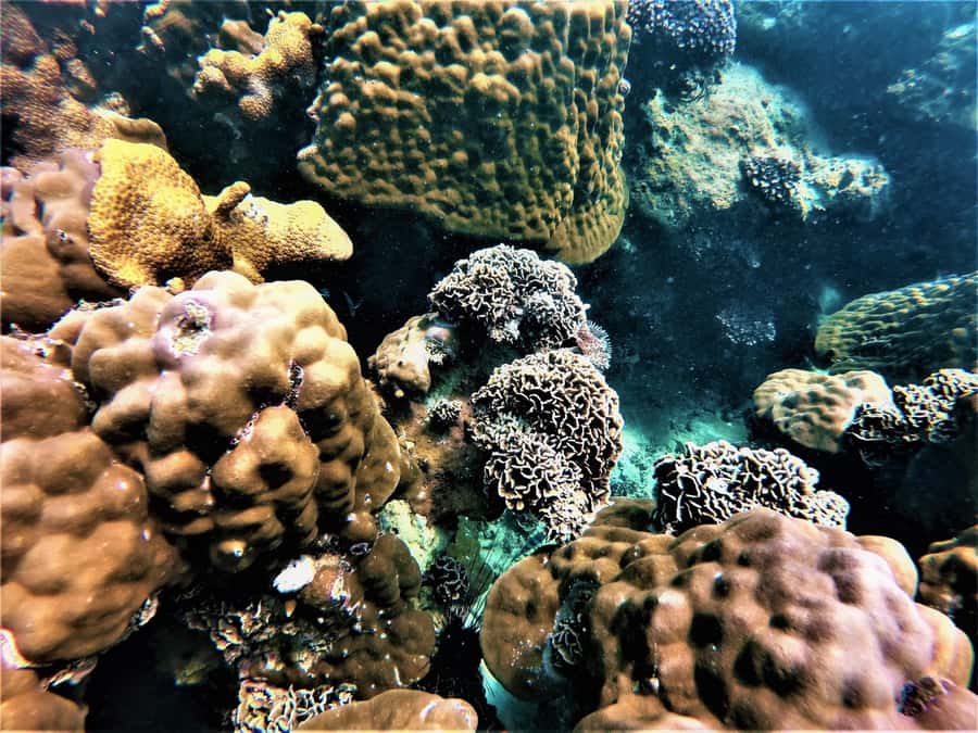 Pattaya: Full-Day 2 Islands Yacht Trip with Lunch and Sunset - Koh Phai: Three Hours of Swimming, Snorkeling, and Lunch