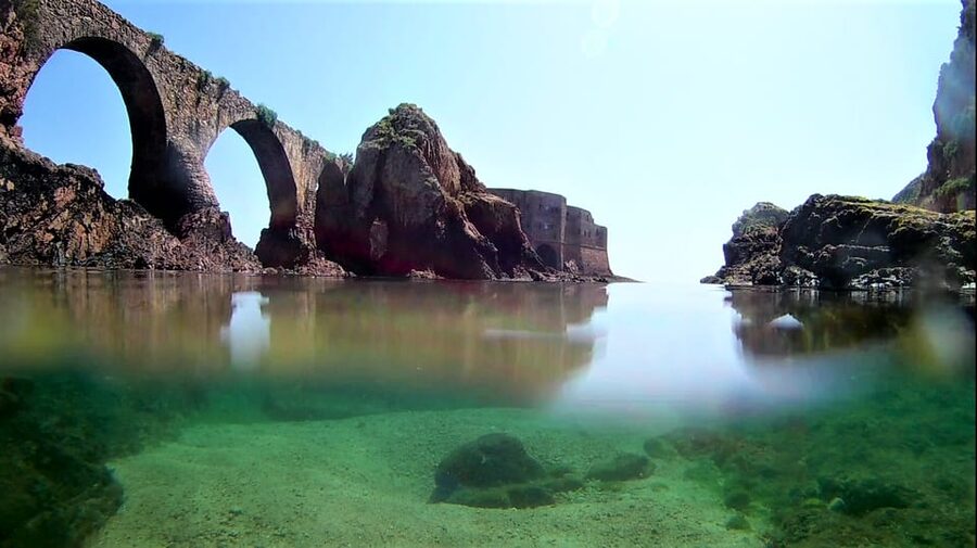 Peniche: Berlengas Island Catamaran Tour + Snorkeling - Dolphins and the Peniche coastline