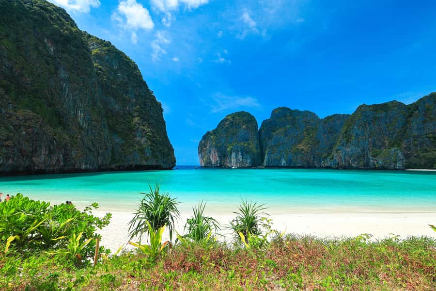 Phuket: Bamboo Island and Phi Phi Islands by Fast Catamaran - Viking Cave is brief but adds a different detail
