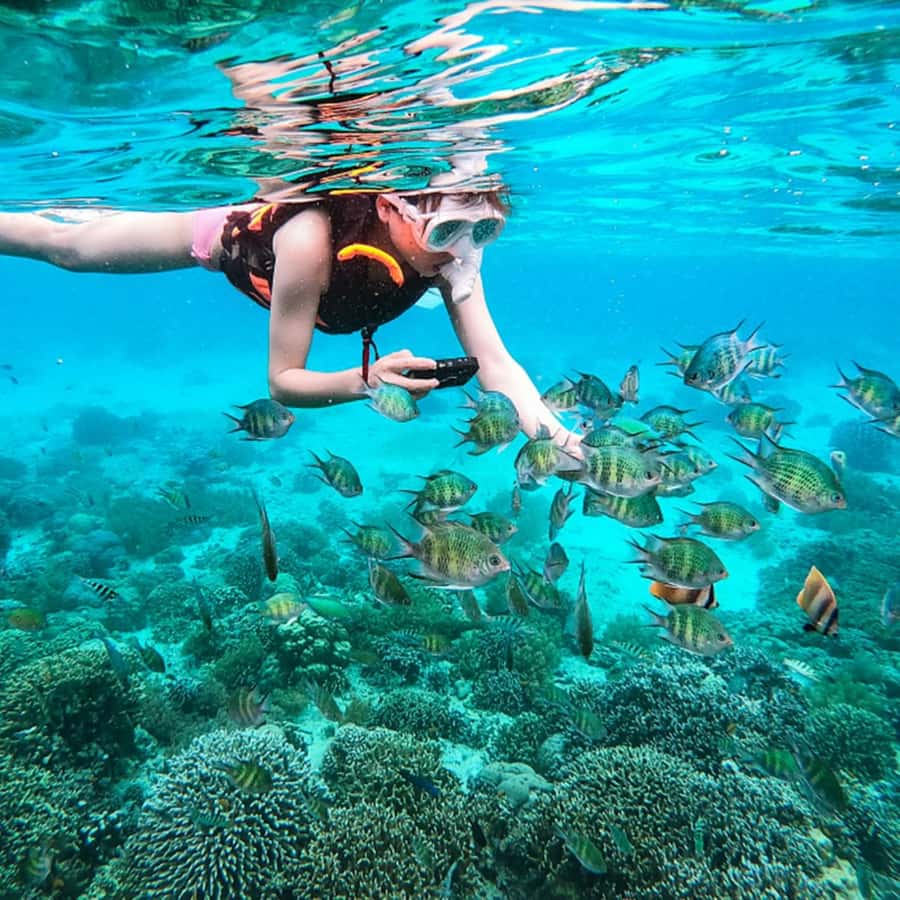 Phuket: Coral and Racha lslands Catamaran Tour with Lunch - The ride back: fishing, fruit, and Promthep Cape