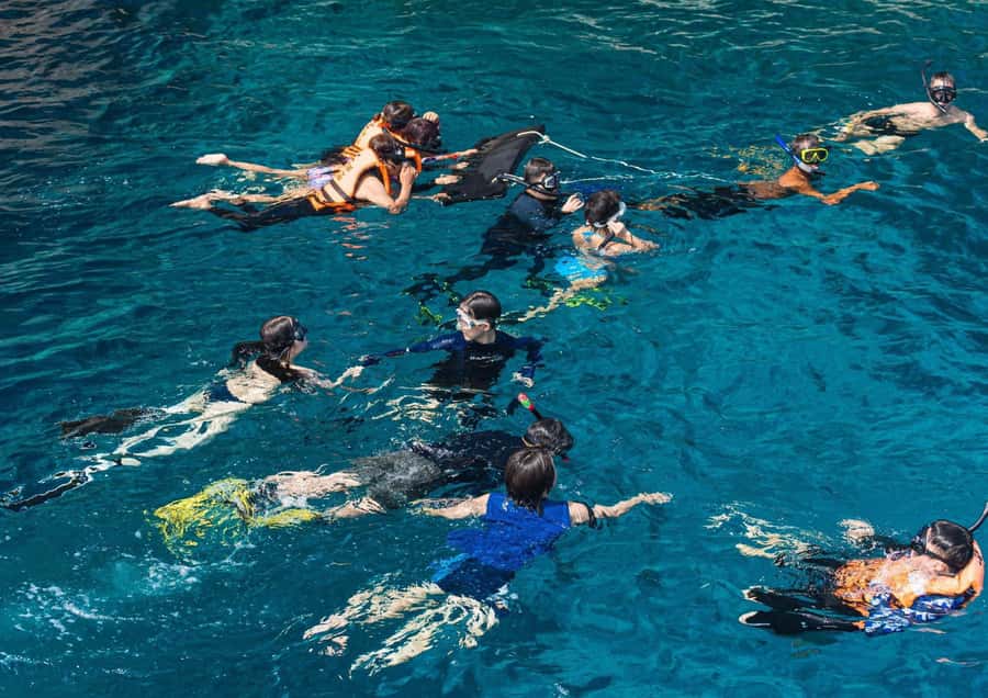 Phuket/Khaolak: Similan Islands Speed Catamaran Premium Trip - Koh Miang, Island 4, and Beach Time