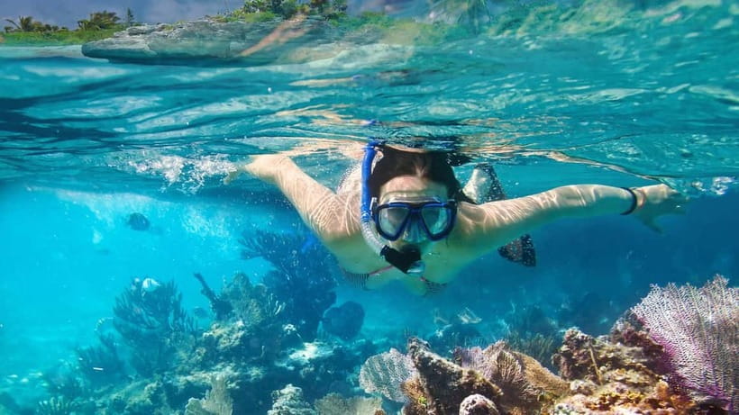 Phuket : Lazy Similan Islands by Catamaran with lunch - The second reef stop at Islands No. 5 and 6