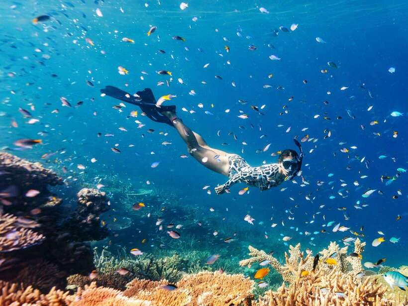 Phuket: Phi Phi, Maya and Khai Or Bamboo Island by Catamaran - What This Phuket Catamaran Day Really Offers