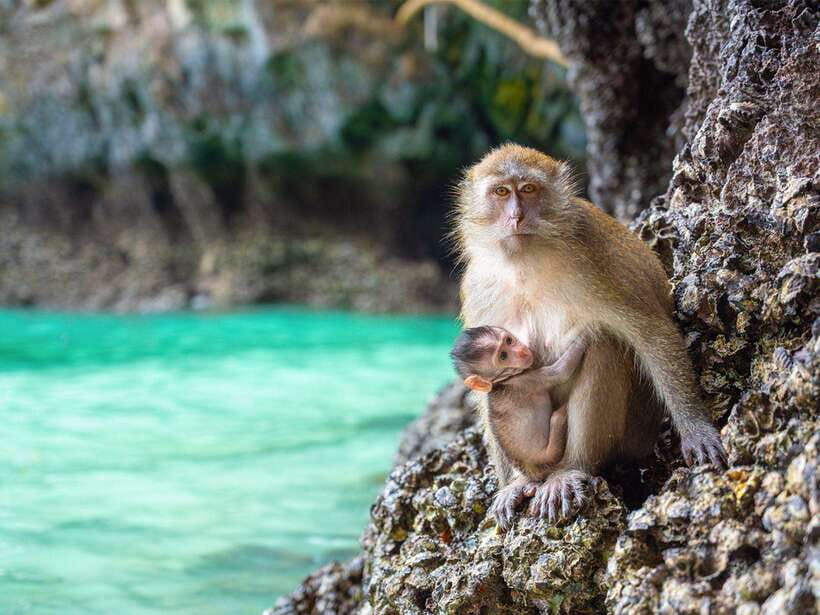 Phuket: Phi Phi, Maya and Khai Or Bamboo Island by Catamaran - Food, Equipment, and What to Pack