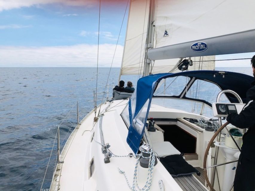 Ponta Delgada Full Day Sailing Tour with Drinks and Snacks - Vila Franca Islet, the day’s signature view