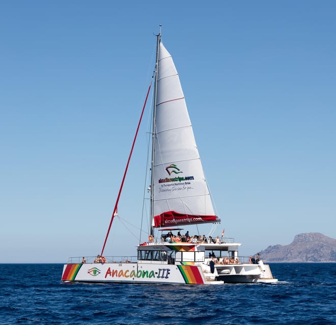 Port d'Alcudia: North Coast Catamaran Cruise with Meal - Choosing daytime or sunset