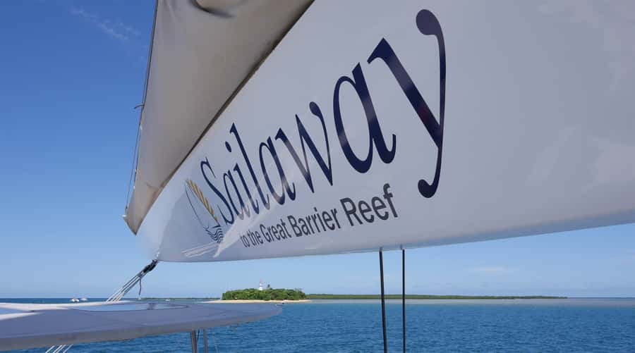 Port Douglas: Low Isles Afternoon Cruise on Luxury Catamaran - Snorkeling, glass-bottom viewing, and reef explanations