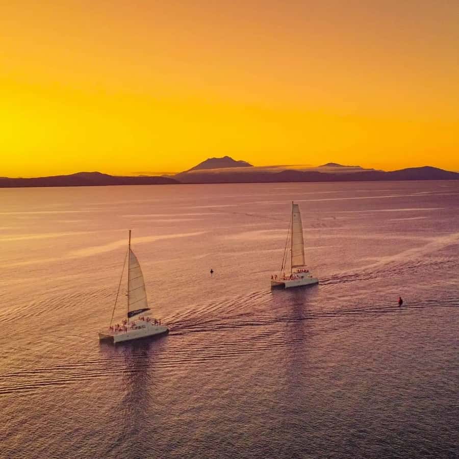 Port Douglas: Low Isles Afternoon Cruise on Luxury Catamaran - The return sail and Daintree mountain views