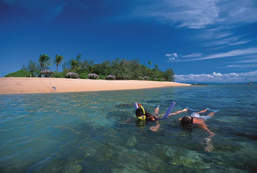 Port Douglas: Reef & Low Isles Cruise on Luxury Catamaran - Why Low Isles works so well for a full reef day