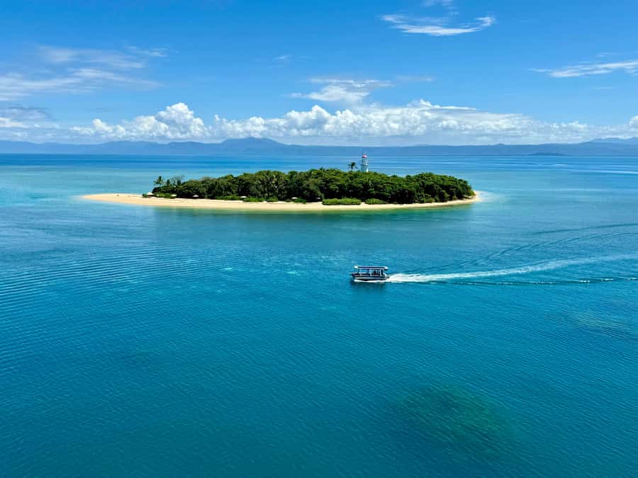 Port Douglas: Reef & Low Isles Cruise on Luxury Catamaran - The glass-bottom boat and heritage walk