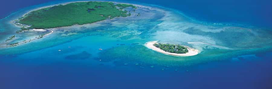 Port Douglas: Reef & Low Isles Cruise on Luxury Catamaran - The crew makes the difference