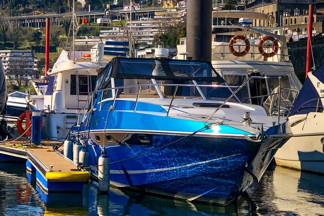 Porto: Private Yacht Cruise with Local Wine, Snacks and 6 Bridges - Luís I Bridge, Porto’s great river landmark