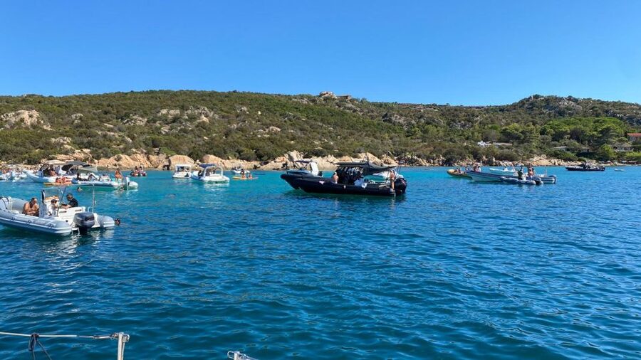 Porto San Paolo: Tavolara Island Sailboat Cruise with Lunch - Is $120.08 a fair price?