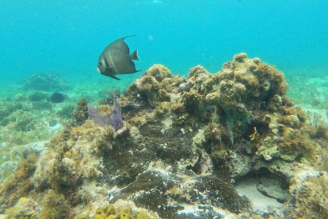 Premium Isla Mujeres Tour by Private Catamaran - Practical details that shape the day