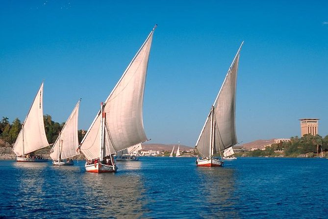 Private 1-Hour Felucca Sailing and Botanical Garden In Aswan - What the $25 price really covers