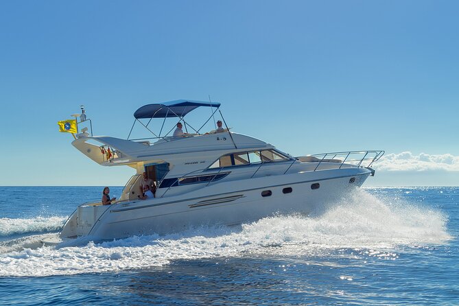 Private Boat Tour on Royal Ocean Yacht, Tenerife - Searching for whales and dolphins offshore