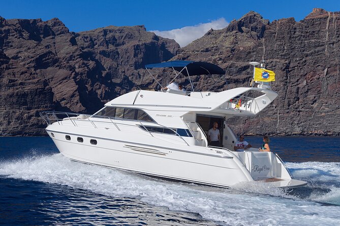 Private Boat Tour on Royal Ocean Yacht, Tenerife - The views beyond the wildlife