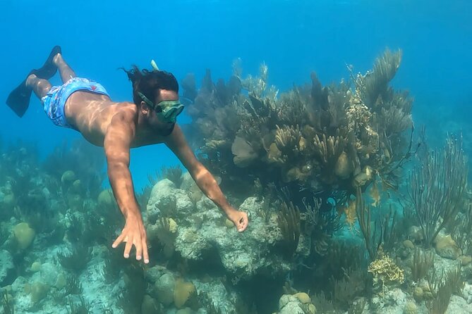Private Catamaran Charter on Elusive - Booking details, weather, and cancellation