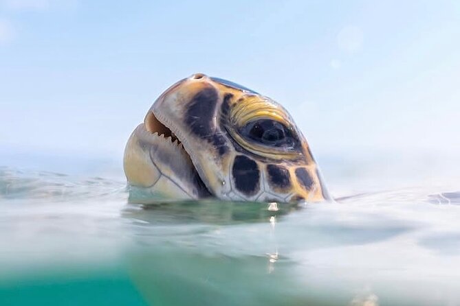 Private catamaran sail & snorkel - What the three-hour schedule feels like
