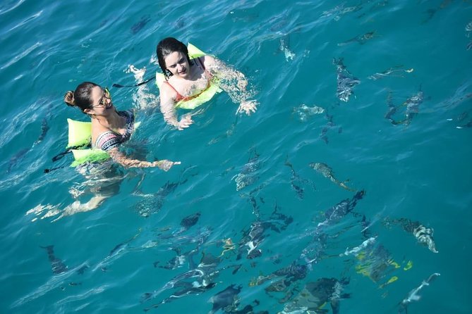Private Catamaran Snorkeling Cruise in Los Cabos - Food, Drinks, and the Open Bar