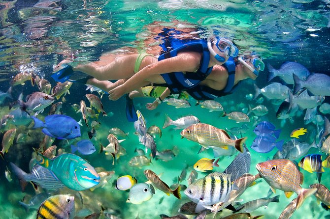 Private Catamaran Snorkeling Family Adventure - The photographer is useful, but set the price first