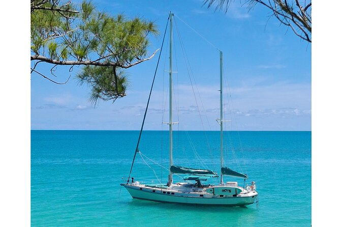 Private Catamaran Swim sail snorkel cliff jumping SUP - Timing, meeting point, and cruise ship planning