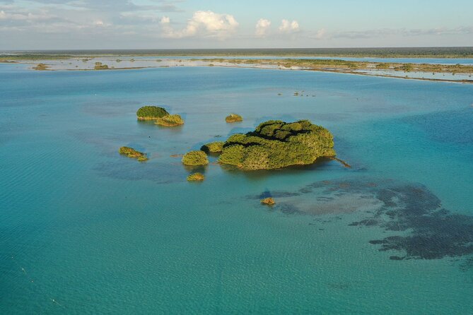 Private Catamaran Tour - Three cenotes beneath the lagoon