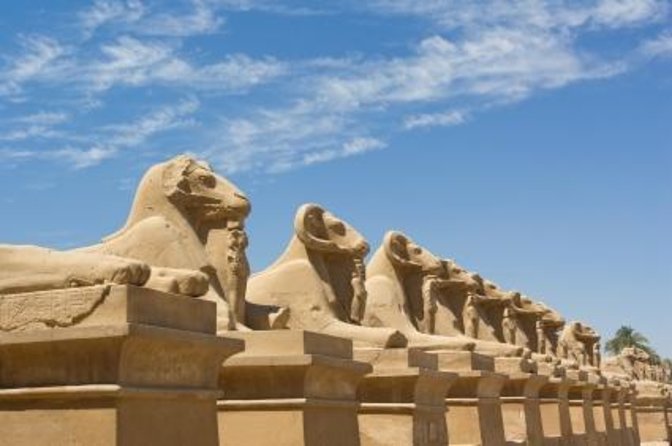 Private Day Tour To Luxor from Cairo by Plane,Tours,Sailing Felucca,Camel&Lunch - Key points to know before booking
