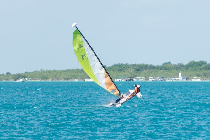 Private Eco-Tour on a Recreational Catamaran with Kayaks Included - Kayaks Add a Slower Second View