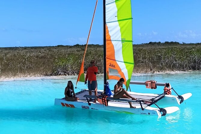 Private Eco-Tour on a Recreational Catamaran with Kayaks Included - A Private Price That Works Best for Four or Five