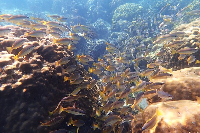 Private Full-Day Blue Dragon Yacht to Angthong National Marine Park - Ko Wao for the main snorkeling session