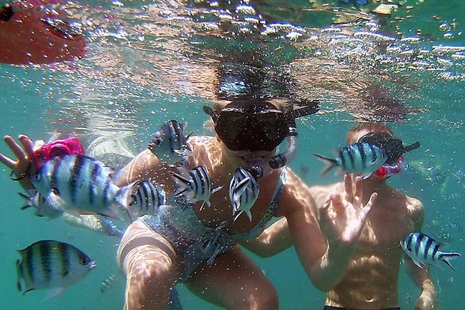 Private Half-Day Red Dragon Yacht for Snorkeling Koh Tan & Visit Pig Island - Lunch, fruit, and a boat built for lingering