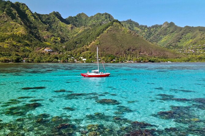 PRIVATE Half Day Tour : Moorea Snorkeling & Sailing on a Catamaran named Taboo - Snorkeling with rays and black-tip reef sharks