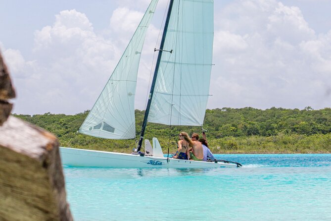 Private Sailing between Mangroves - Mangroves, wetlands, and the quiet middle of the trip