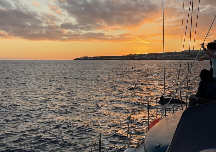 Private Sailing Sunset Tour PDL - Sunset over São Miguel from the water
