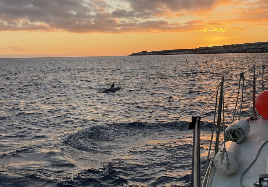 Private Sailing Sunset Tour PDL - What the $212 price means for your group